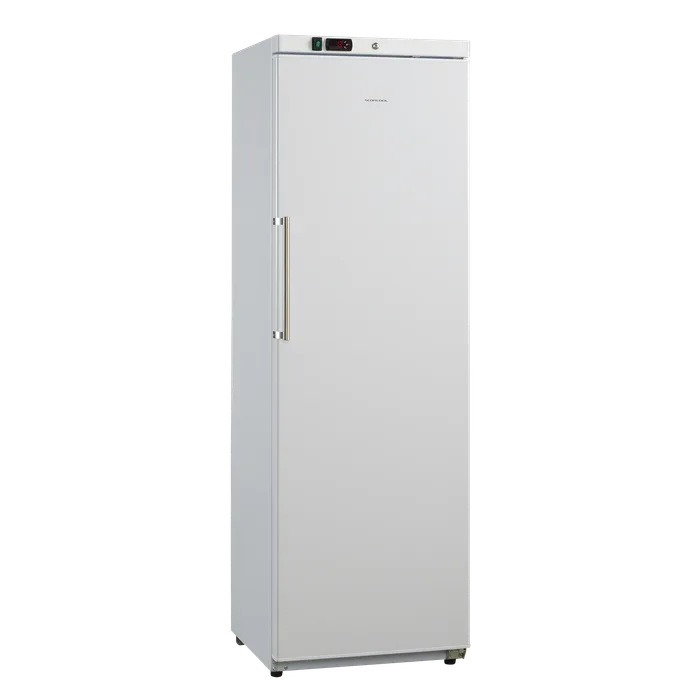Külmik 293L GUR390W